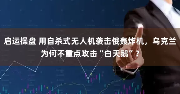 启运操盘 用自杀式无人机袭击俄轰炸机，乌克兰为何不重点攻击“白天鹅”？