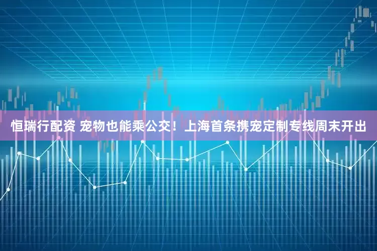 恒瑞行配资 宠物也能乘公交！上海首条携宠定制专线周末开出